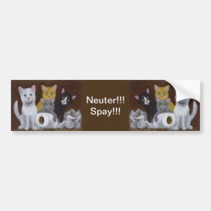 Adesivo Para Carro Kittens Neuter Spay