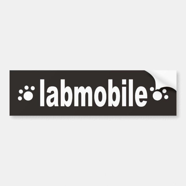 Adesivo Para Carro labmobile (Frente)