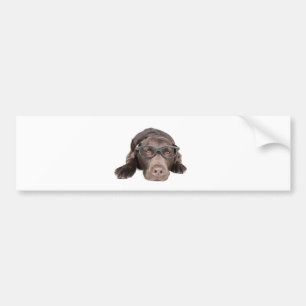 Adesivo Para Carro Labrador inteligente