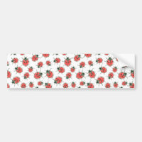 Ladybugs