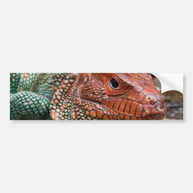 Adesivo Para Carro Lagarto (Frente)