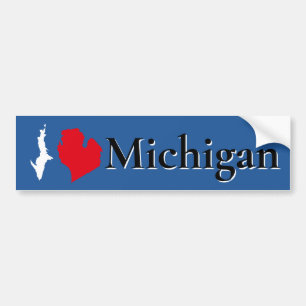 Adesivo Para Carro Lago Michigan - Excelente do Estado divertido