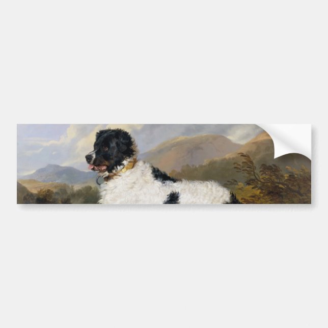 Adesivo Para Carro Landseer Newfoundland Dog (Black and White Animal) (Frente)
