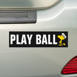 Adesivo Para Carro Letra Woodstock Varsity Sports