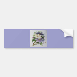 Adesivo Para Carro Lilac Clematis Vine - Pintura em acrílico