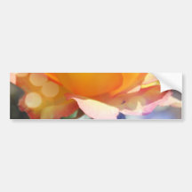 Linda flor de rosa amarela. Fotografia floral.