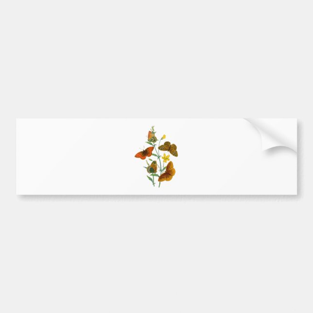 Adesivo Para Carro Lindas Borboletas (Frente)