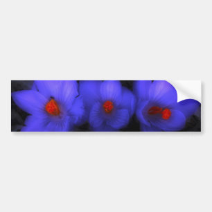 Adesivo Para Carro Lindos Blooms de Crocus Roxo
