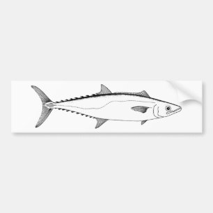 Adesivo Para Carro Linha arte do rei cavala