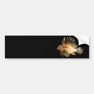 Adesivo Para Carro Lionfish