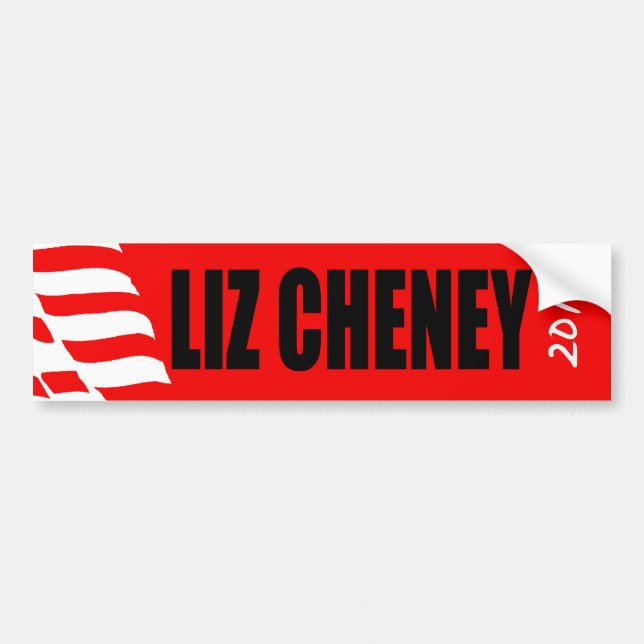 ADESIVO PARA CARRO LIZ CHENEY (Frente)