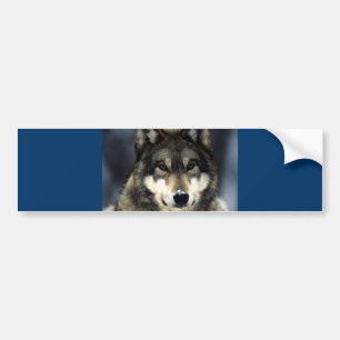 Adesivo Para Carro Lobo