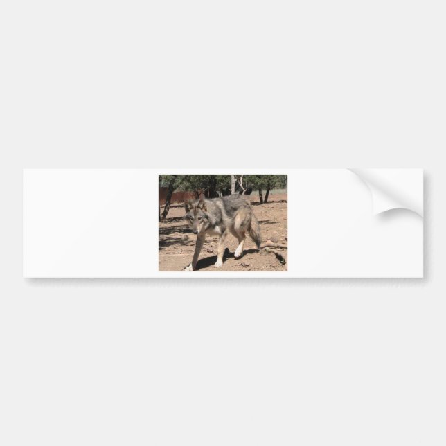 Adesivo Para Carro Lobo Alfa (Frente)