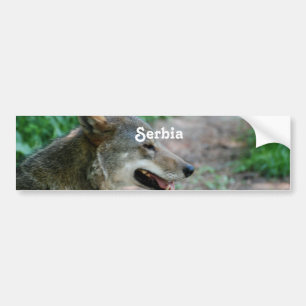 Adesivo Para Carro Lobo de Serbia