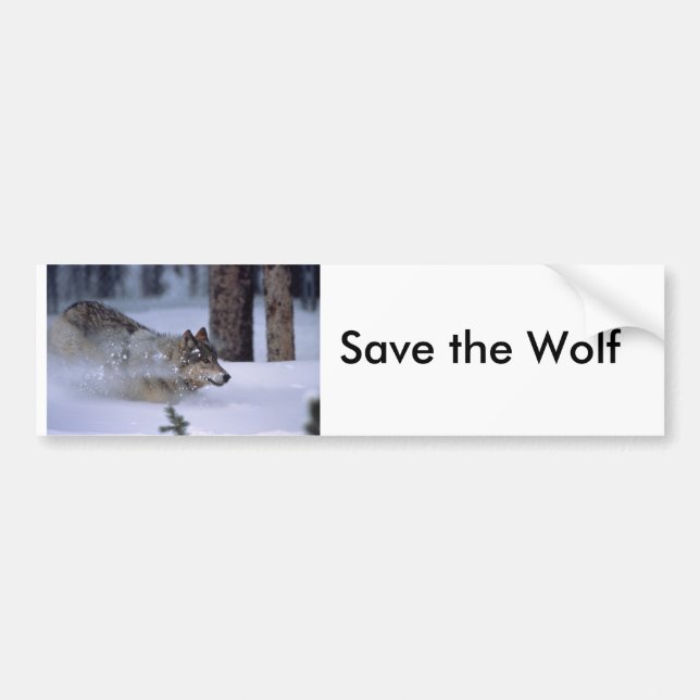 Adesivo Para Carro Lobo que funciona na neve (Frente)