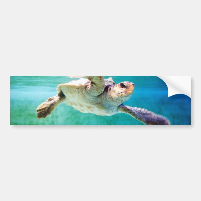 Adesivo Para Carro Loggerhead #3 Bumper Sticker (Frente)