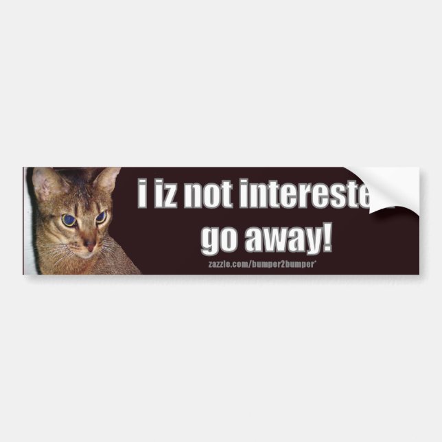 Adesivo Para Carro LOLCat 3 Bumpersticker (Frente)
