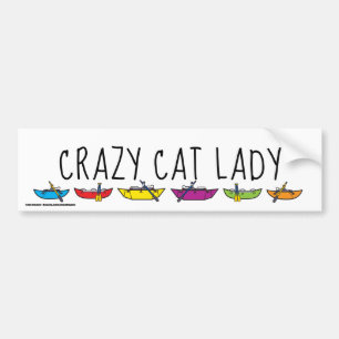 Adesivo Para Carro Louca Lady Rafters