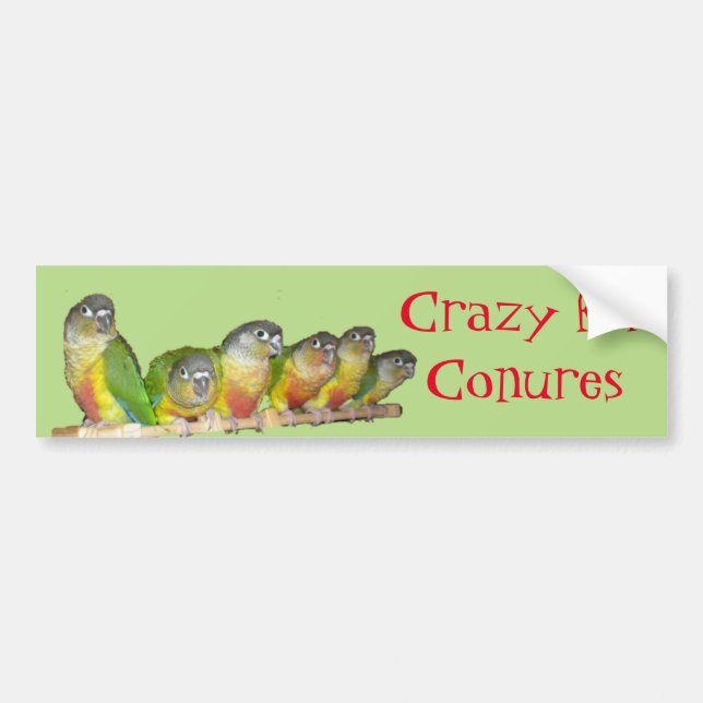 Adesivo Para Carro Louco para Conures! (Frente)