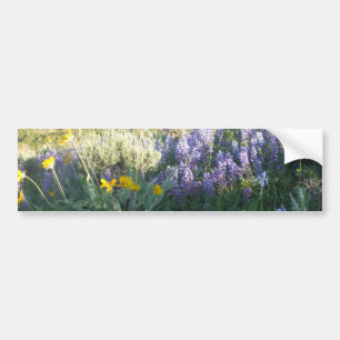 Adesivo Para Carro Lupine da montanha rochosa