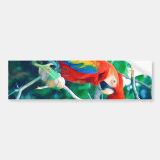 Adesivo Para Carro Macaw colorido