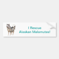 Malamute do Alasca