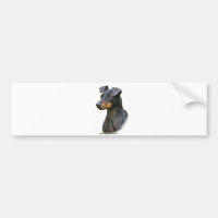 Manchester Terrier