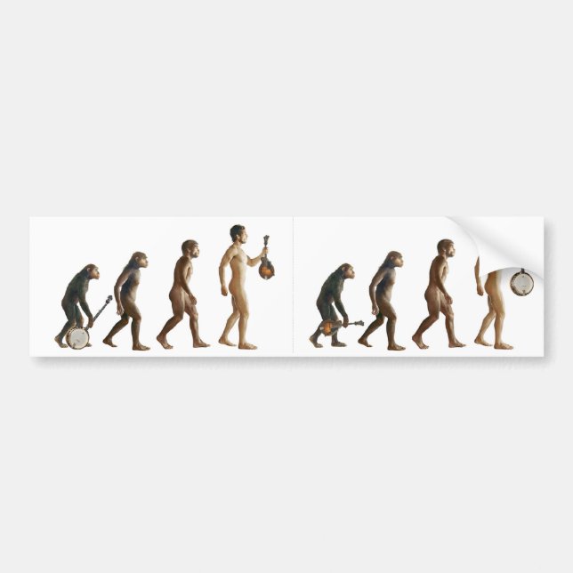 Adesivo Para Carro Mandolution (Frente)