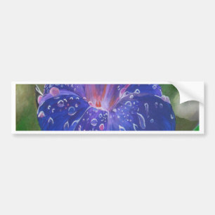 Adesivo Para Carro Manhã Glória (Ipomoea Purpurea) Petais e Dew Dr.