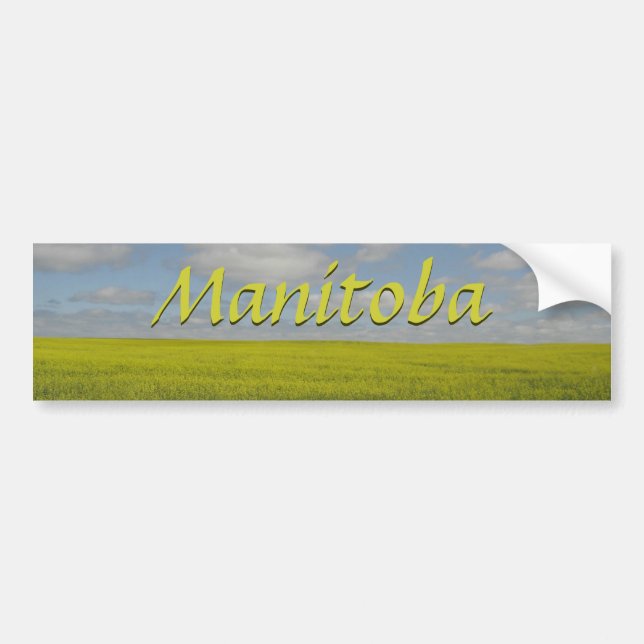 Adesivo Para Carro Manitoba Bumper Sticker Manitoba Souvenir (Frente)