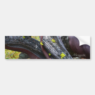 Adesivo Para Carro Manzanita Bumpersticker