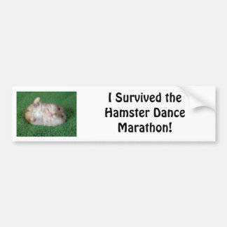 Adesivo Para Carro Maratona da dança do hamster