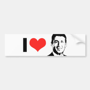 Adesivo Para Carro Marque Sanford