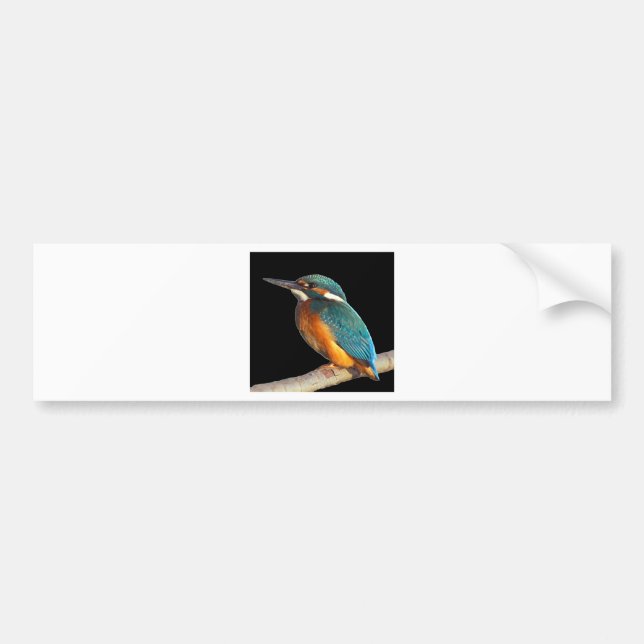 Adesivo Para Carro "Martinho pescatore " (Frente)