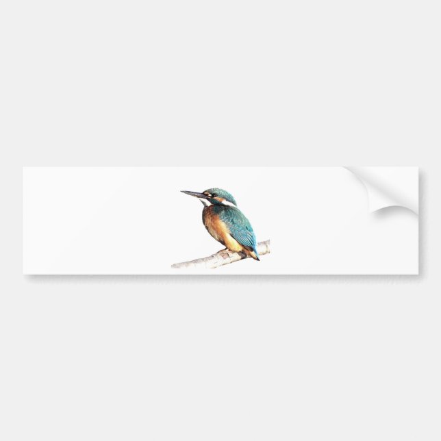 Adesivo Para Carro "Martinho pescatore " (Frente)