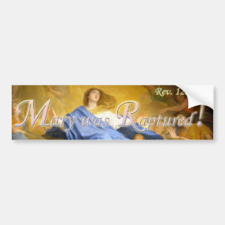 Adesivo Para Carro Mary era autocolante no vidro traseiro extasiado