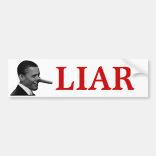 ADESIVO PARA CARRO MENTIROSO