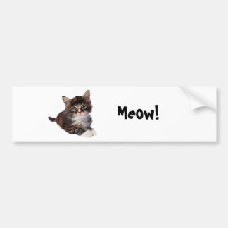 Adesivo Para Carro Meow!