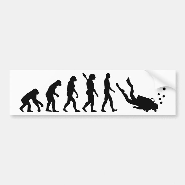 Adesivo Para Carro Mergulho da evolução (Frente)