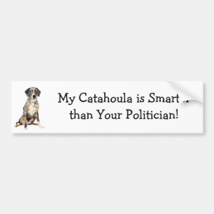 Adesivo Para Carro Meu Catahoula é mais esperto do que seu político