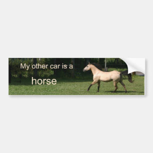 Adesivo Para Carro Meu outro carro é um cavalo