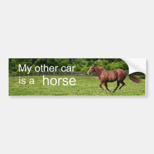 Adesivo Para Carro Meu outro carro é um cavalo