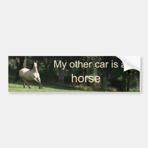 Adesivo Para Carro Meu outro carro é um cavalo