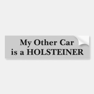 Adesivo Para Carro Meu outro carro é um Holsteiner