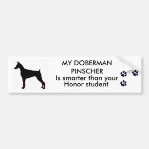 Adesivo Para Carro MEU Pinscher do Doberman é mais esperto do que su