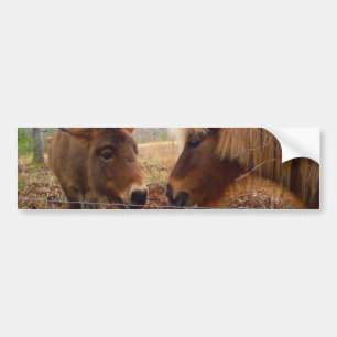 Adesivo Para Carro Miniatura Macaco e Coração de Namorados de Cavalo