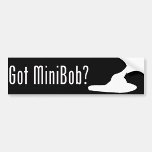 Adesivo Para Carro MiniBob obtido?