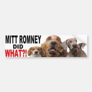 Adesivo Para Carro MITT ROMNEY FEZ QUE?! Cão no AUTOCOLANTE NO VIDRO