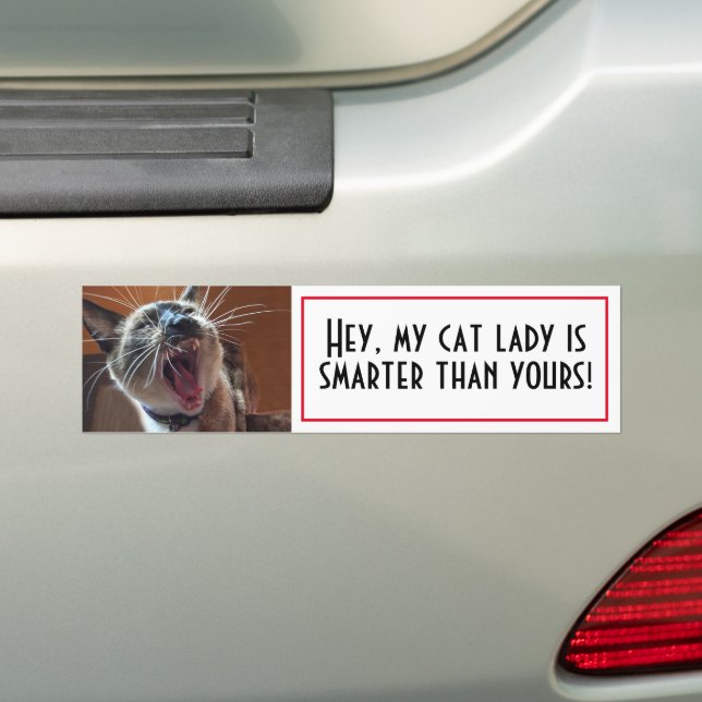 Adesivo Para Carro Modelo de Fotografia Personalizada de Kitten Engra (No carro)