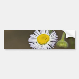 Adesivo Para Carro Montanha Flor Selvagem